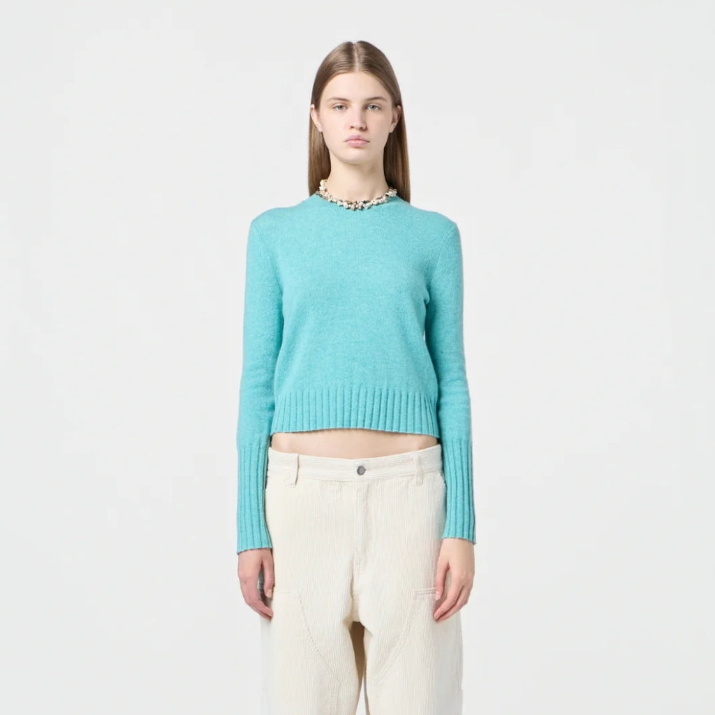 Shrunken Cashmere Crew