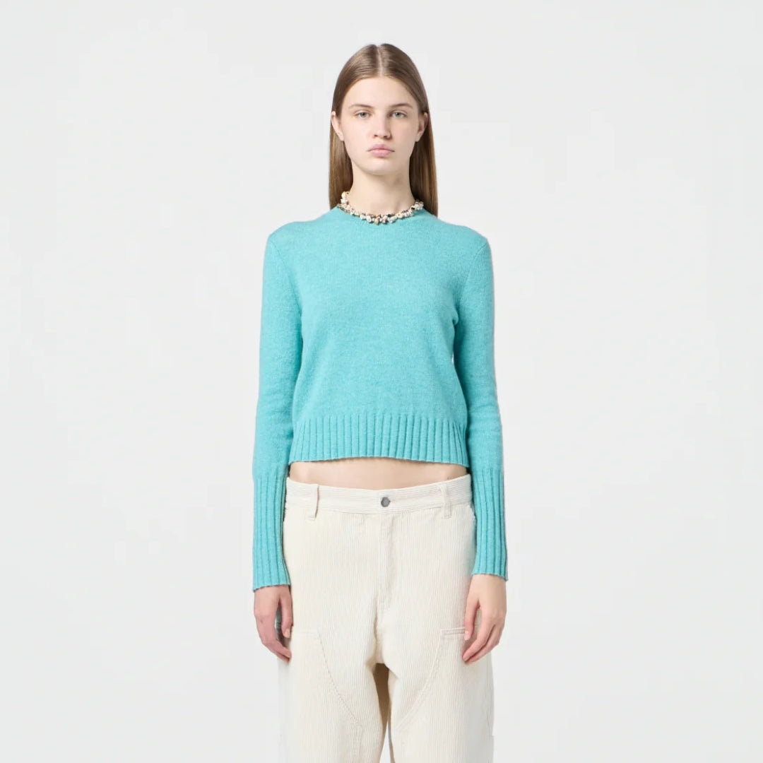 Shrunken Cashmere Crew